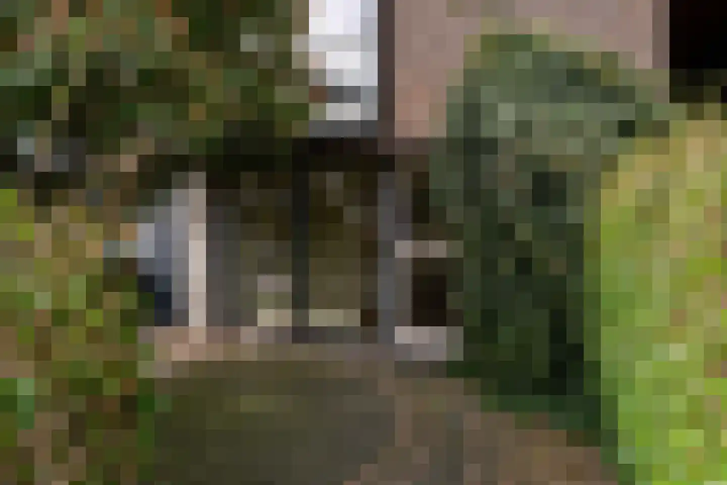 Rijswijkse Landingslaan 109 Den Haag thumbnail 9