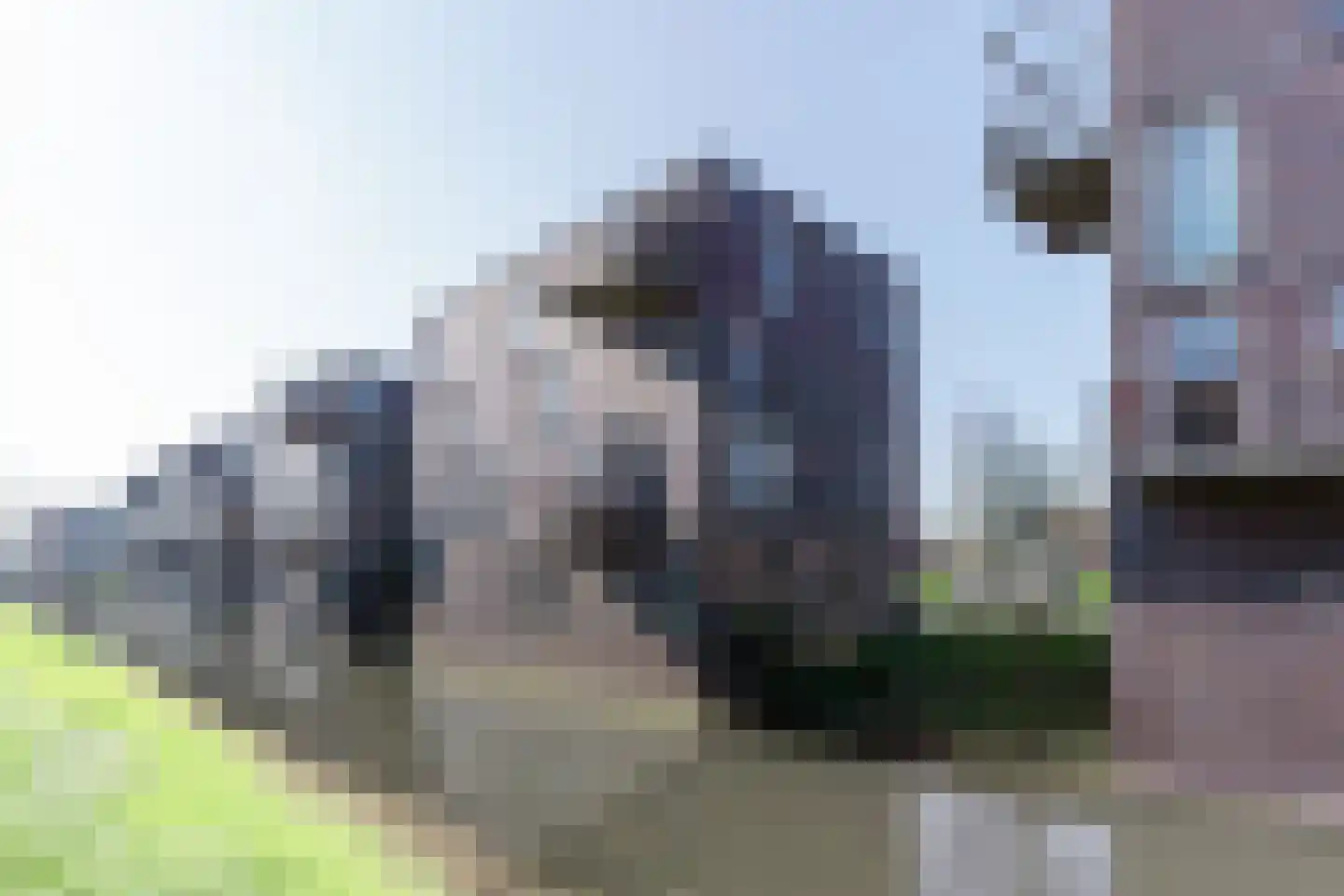 Rijswijkse Landingslaan 118 Den Haag thumbnail 12