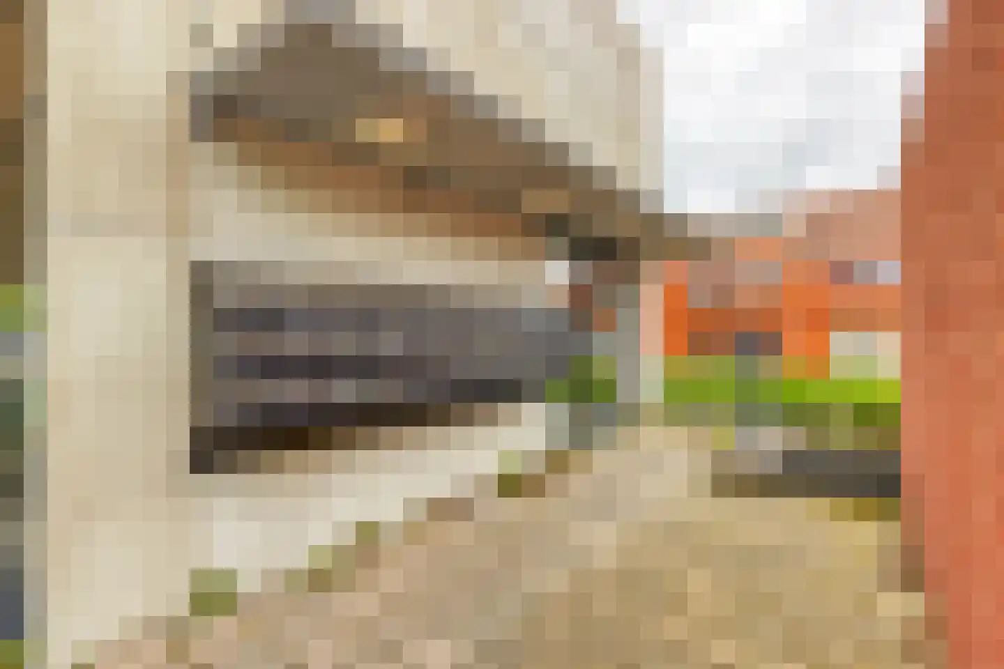Rijswijkse Landingslaan 154 Den Haag thumbnail 31