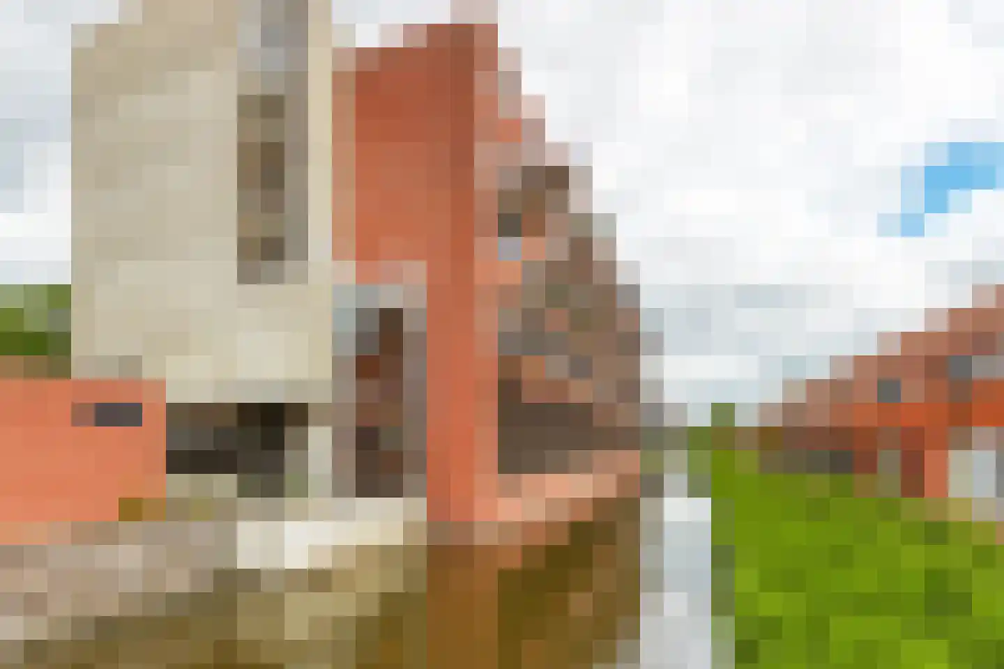 Rijswijkse Landingslaan 154 Den Haag thumbnail 33