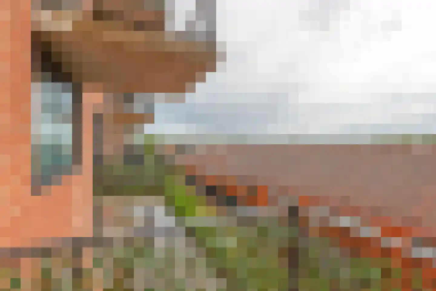Rijswijkse Landingslaan 154 Den Haag thumbnail 6