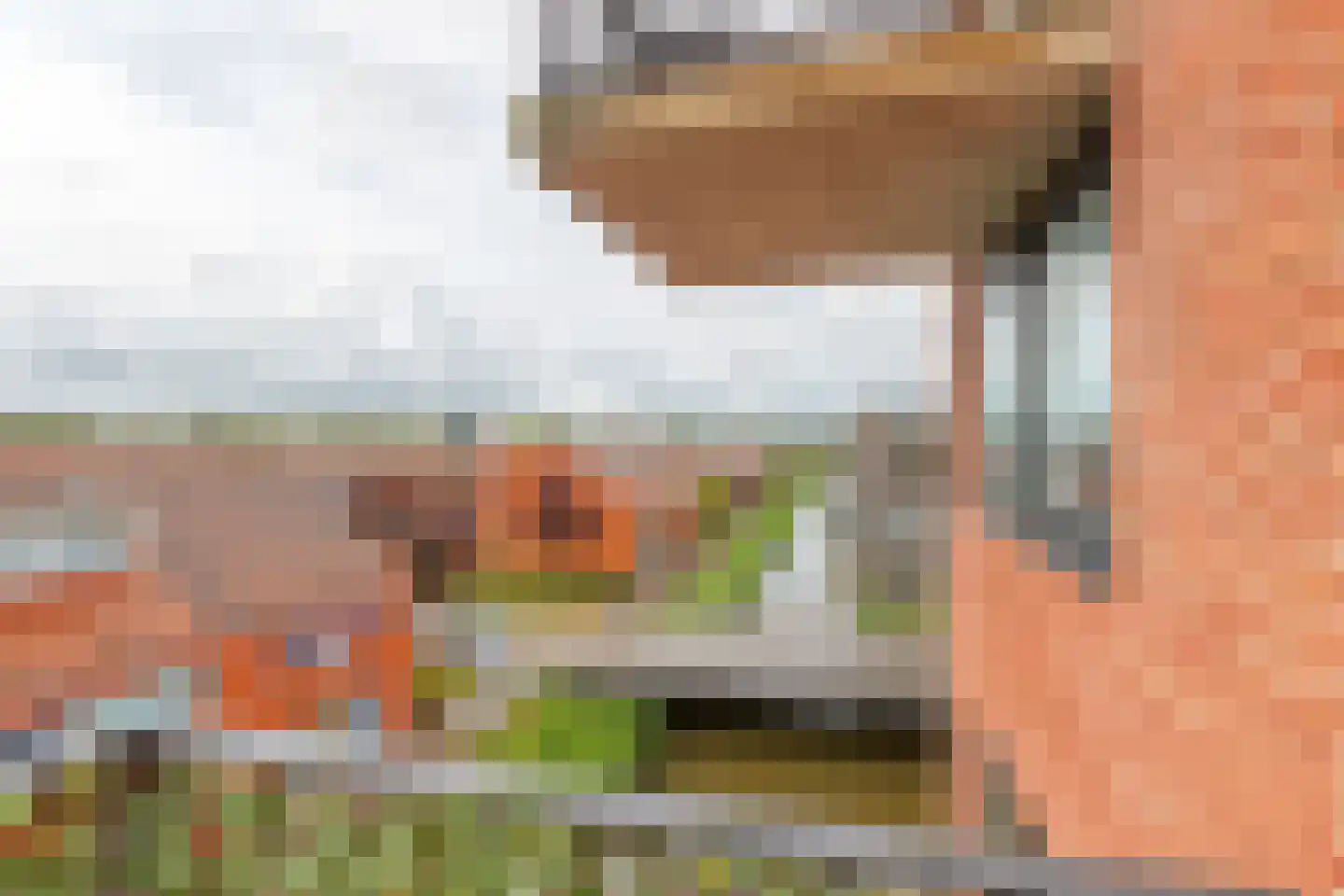 Rijswijkse Landingslaan 154 Den Haag thumbnail 8