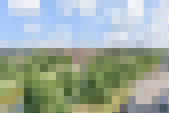 Rijswijkse Landingslaan 192 Den Haag thumbnail 34