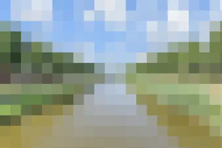 Rijswijkse Landingslaan 192 Den Haag thumbnail 36