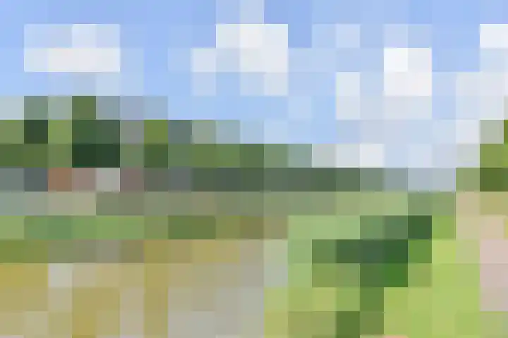 Rijswijkse Landingslaan 192 Den Haag thumbnail 37