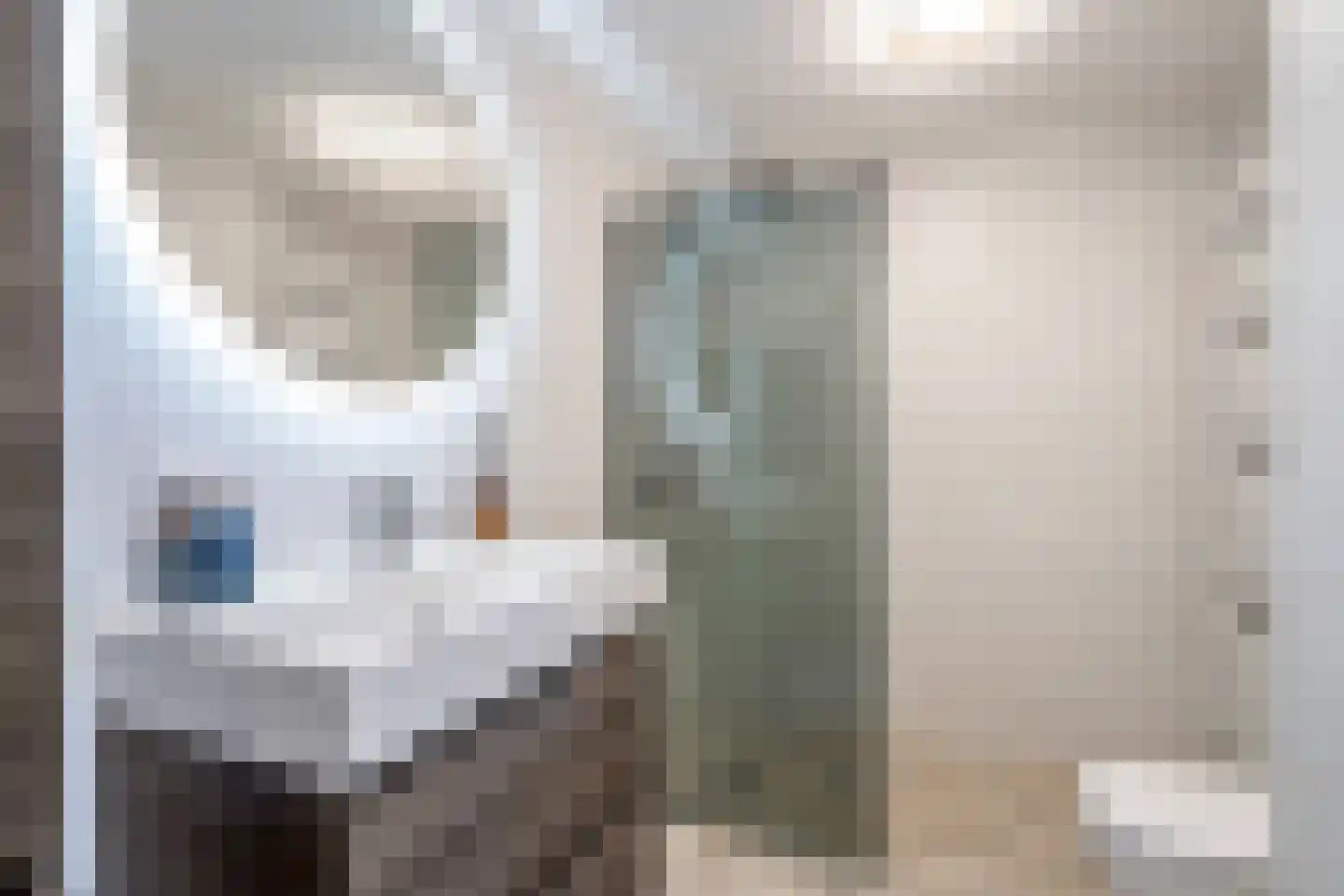 Rijswijkse Landingslaan 224 Den Haag thumbnail 18