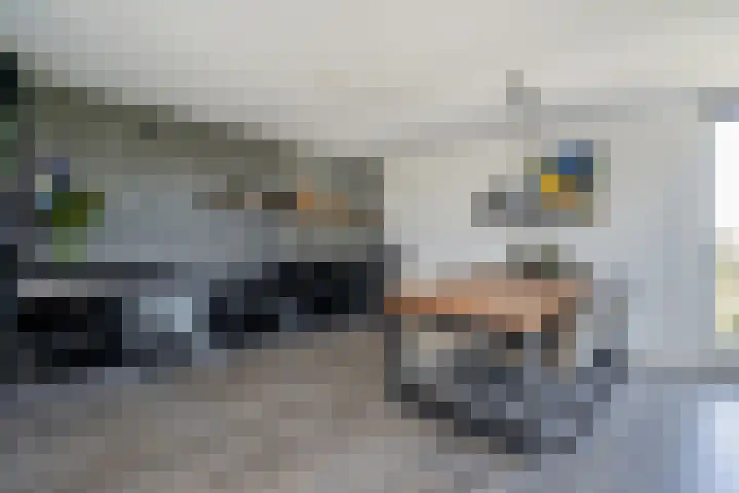 Rijswijkse Landingslaan 224 Den Haag thumbnail 4