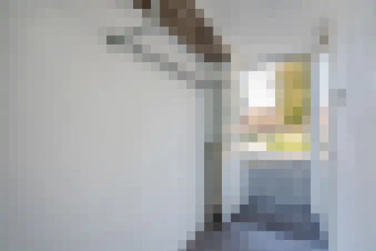 Rijswijkse Landingslaan 224 Den Haag thumbnail 8