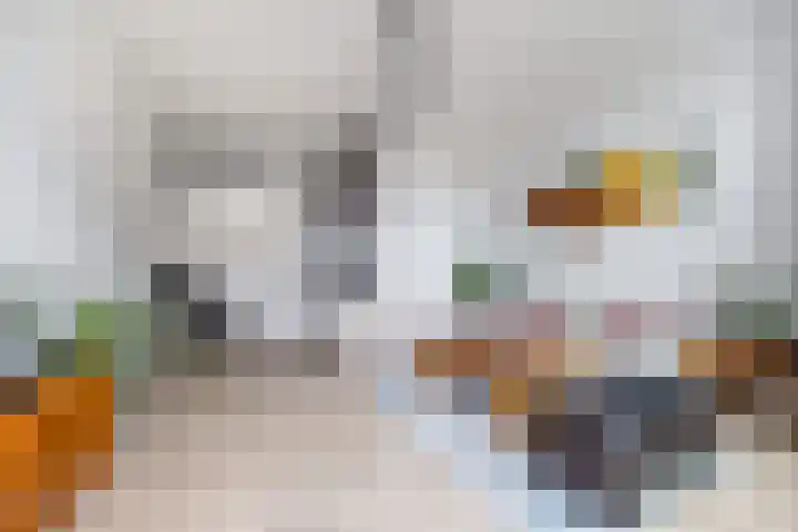 Rijswijkse Landingslaan 241 Den Haag thumbnail 11