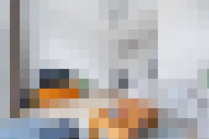 Rijswijkse Landingslaan 241 Den Haag thumbnail 12