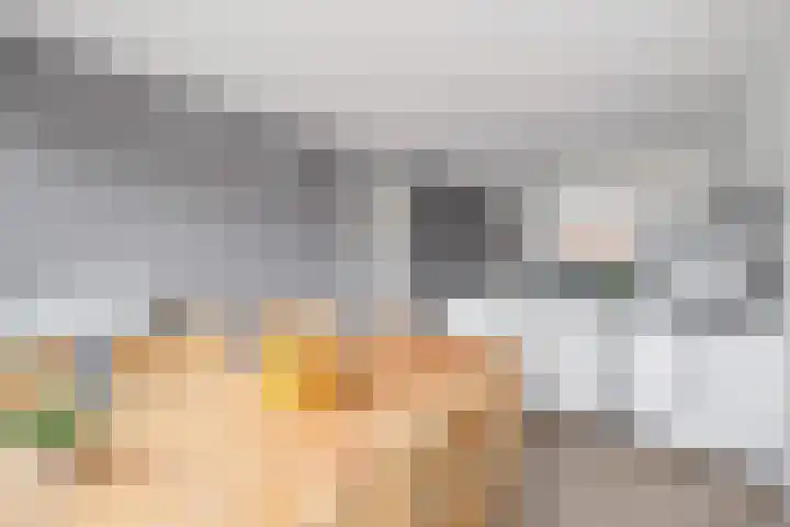 Rijswijkse Landingslaan 241 Den Haag thumbnail 17