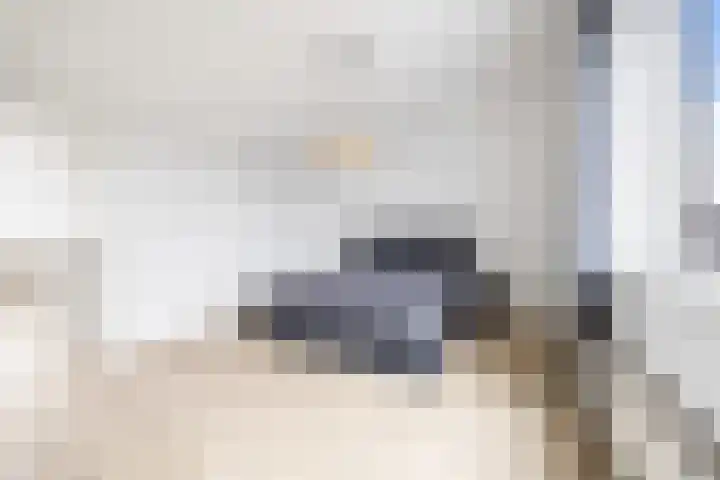 Rijswijkse Landingslaan 241 Den Haag thumbnail 32