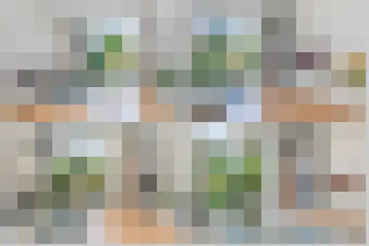 Rijswijkse Landingslaan 265 Den Haag thumbnail 11