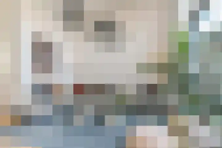 Rijswijkse Landingslaan 265 Den Haag thumbnail 12