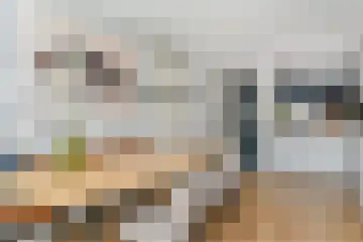 Rijswijkse Landingslaan 265 Den Haag thumbnail 17