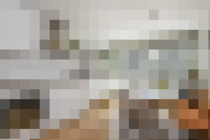 Rijswijkse Landingslaan 265 Den Haag thumbnail 18