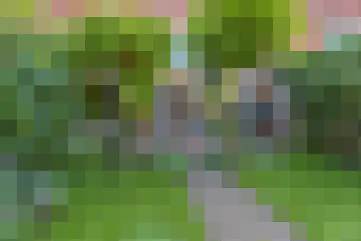 Rijswijkse Landingslaan 265 Den Haag thumbnail 39