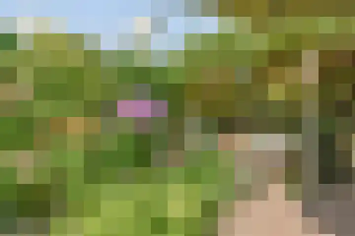 Rijswijkse Landingslaan 265 Den Haag thumbnail 4