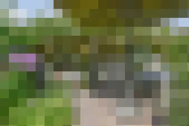 Rijswijkse Landingslaan 265 Den Haag thumbnail 42