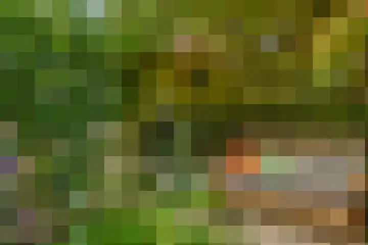 Rijswijkse Landingslaan 265 Den Haag thumbnail 44