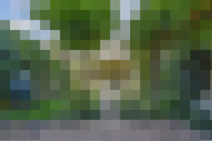 Rijswijkse Landingslaan 265 Den Haag thumbnail 45