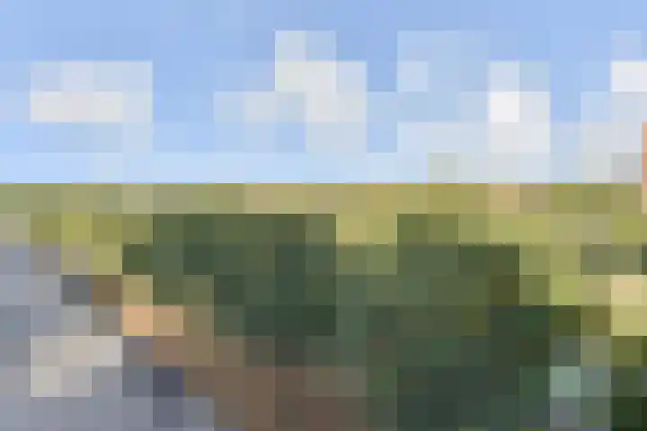 Rijswijkse Landingslaan 276 Den Haag thumbnail 36