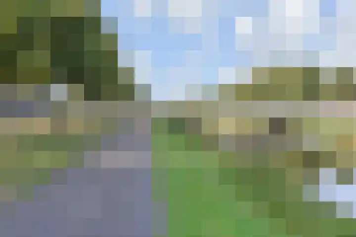 Rijswijkse Landingslaan 276 Den Haag thumbnail 43