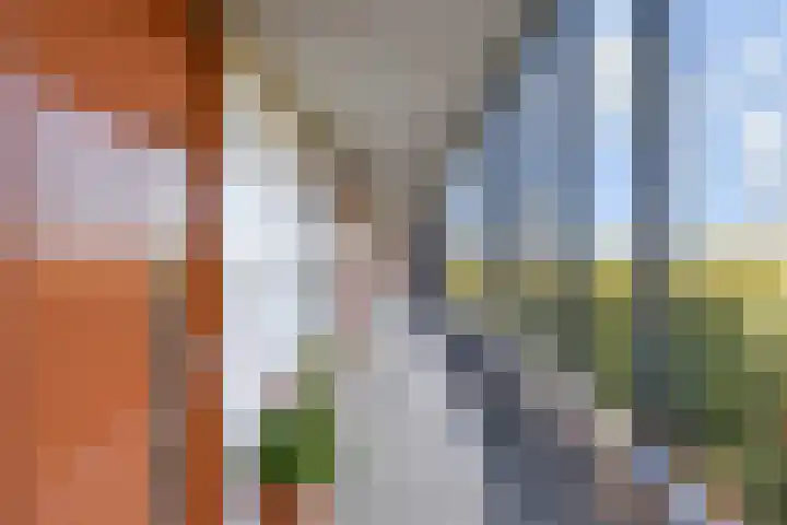 Rijswijkse Landingslaan 276 Den Haag thumbnail 9
