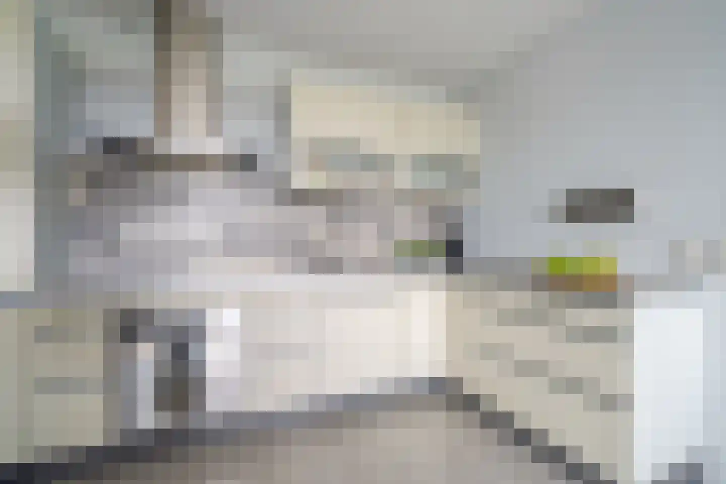 Rijswijkse Landingslaan 278 Den Haag thumbnail 5