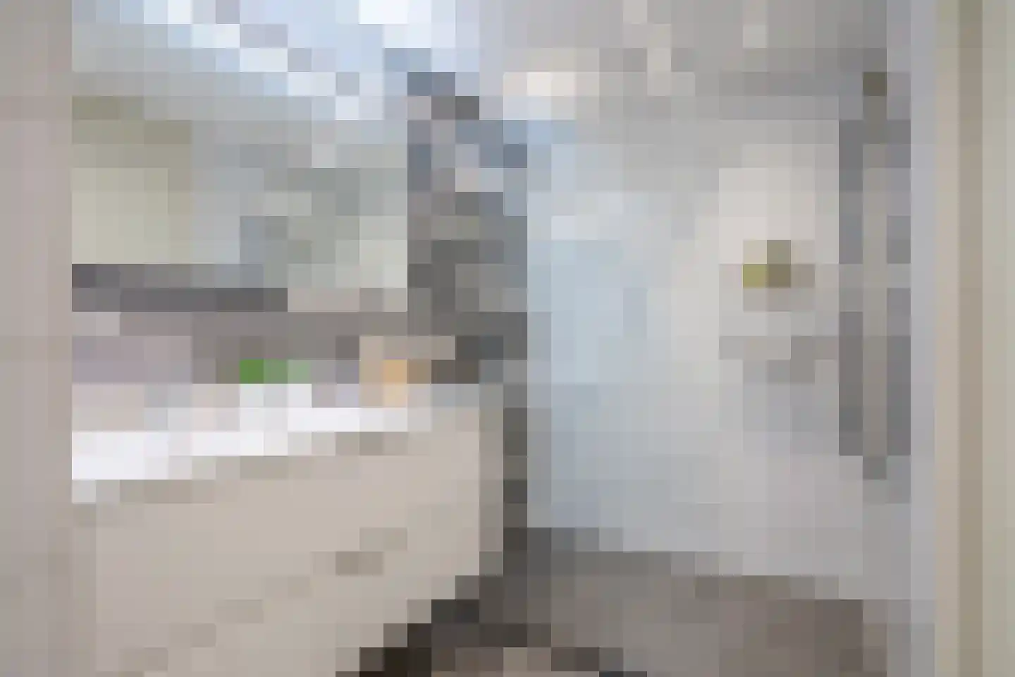 Rijswijkse Landingslaan 278 Den Haag thumbnail 6
