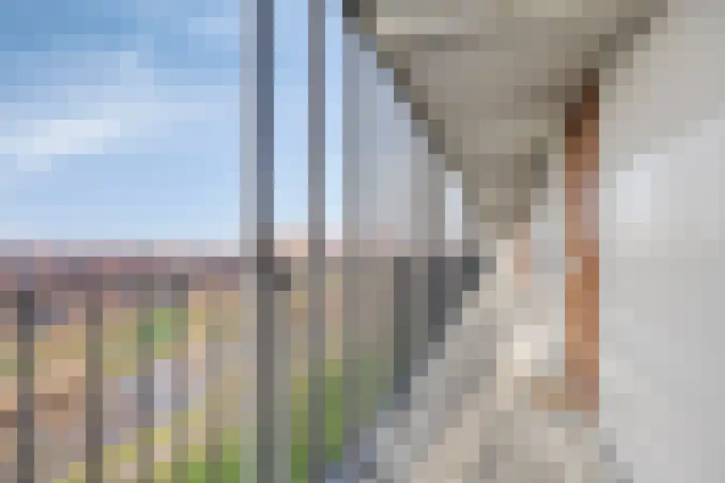 Rijswijkse Landingslaan 292 Den Haag thumbnail 15