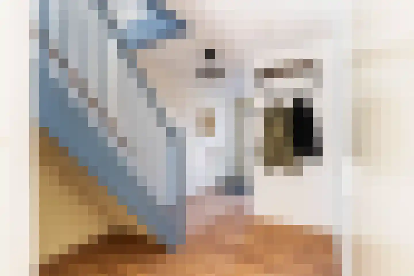 Rijswijkse Landingslaan 312 Den Haag thumbnail 5