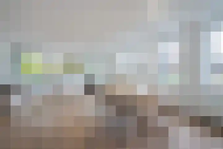 Rijswijkse Landingslaan 328 Den Haag thumbnail 12