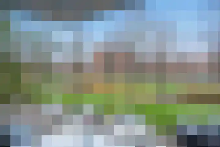 Rijswijkse Landingslaan 328 Den Haag thumbnail 16