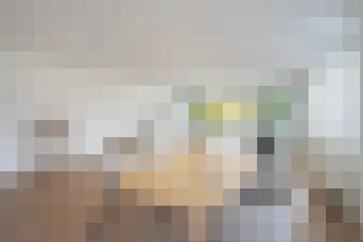 Rijswijkse Landingslaan 328 Den Haag thumbnail 19