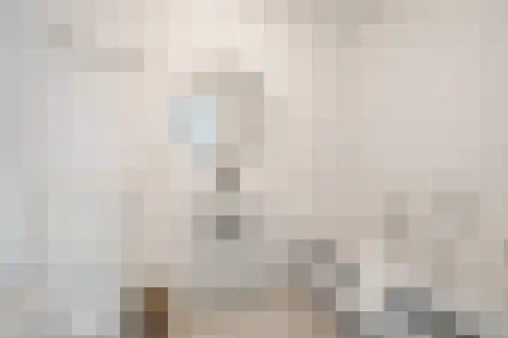 Rijswijkse Landingslaan 328 Den Haag thumbnail 32