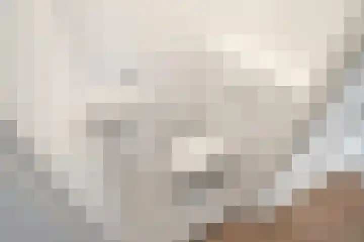 Rijswijkse Landingslaan 328 Den Haag thumbnail 34