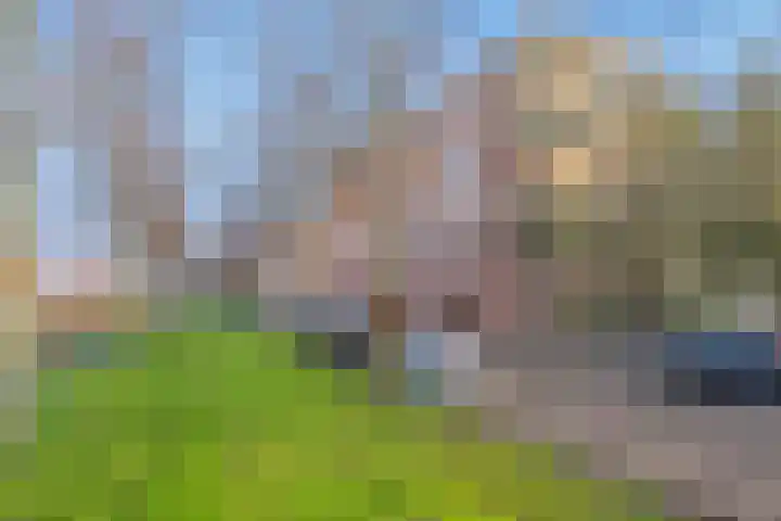 Rijswijkse Landingslaan 328 Den Haag thumbnail 5