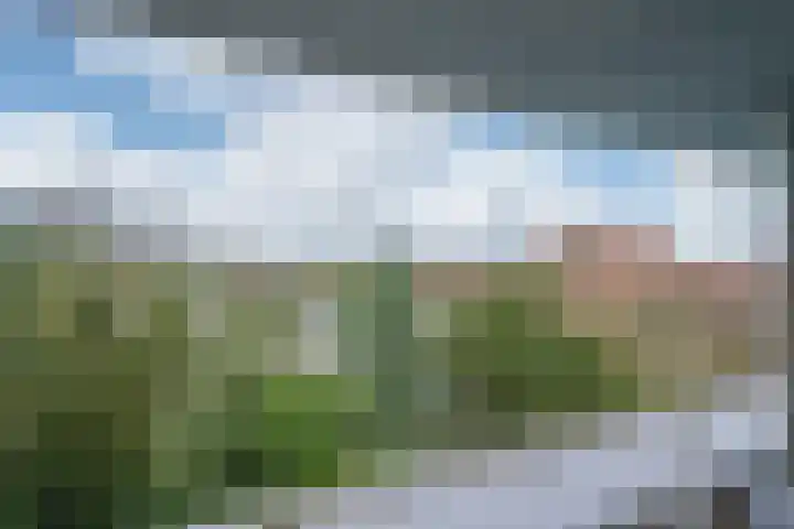 Rijswijkse Landingslaan 342 Den Haag thumbnail 13