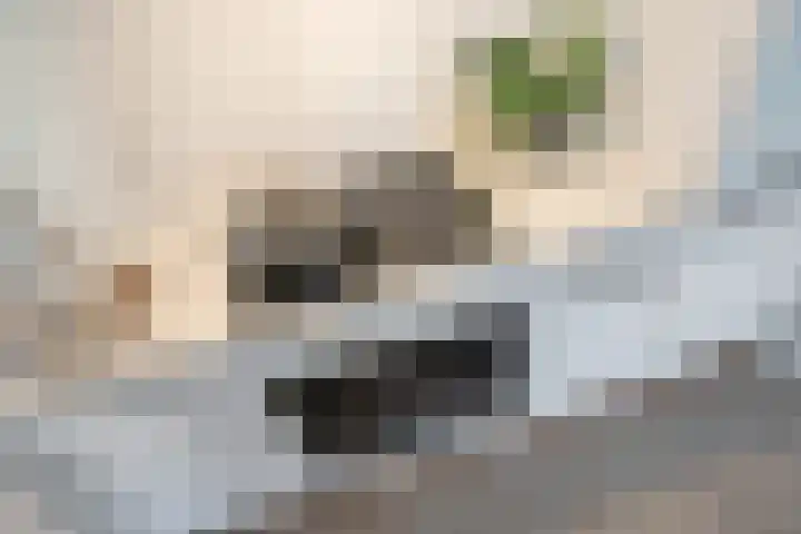 Rijswijkse Landingslaan 342 Den Haag thumbnail 15