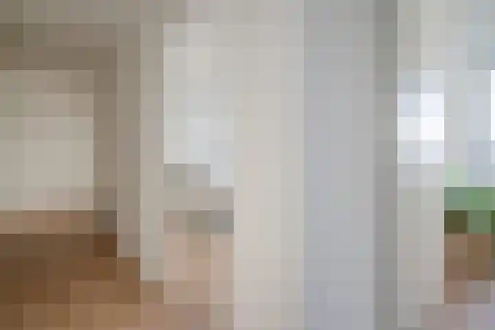 Rijswijkse Landingslaan 342 Den Haag thumbnail 19