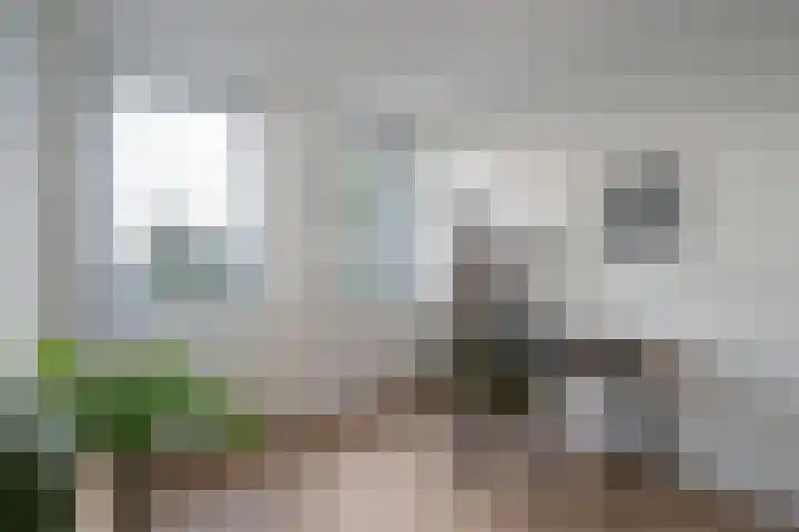 Rijswijkse Landingslaan 342 Den Haag thumbnail 22