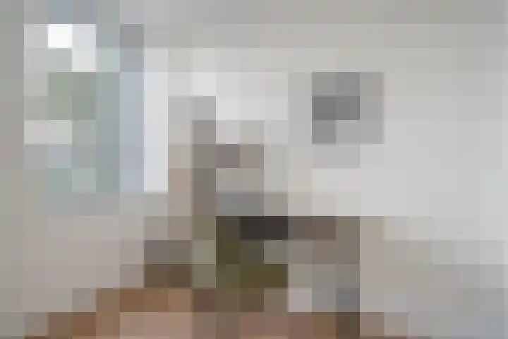 Rijswijkse Landingslaan 342 Den Haag thumbnail 23