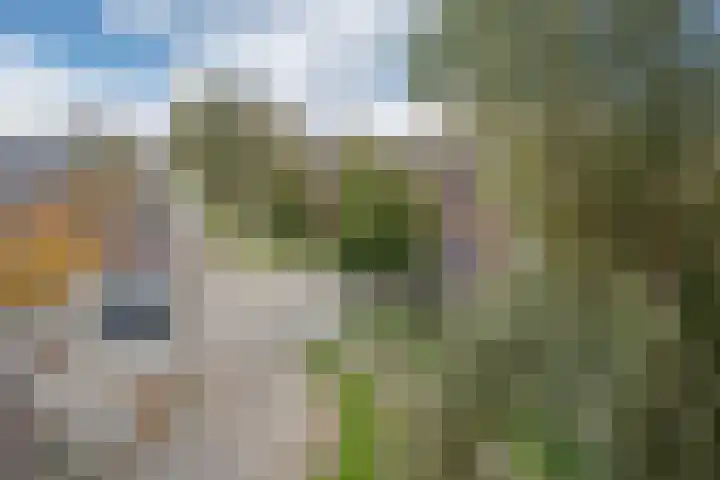 Rijswijkse Landingslaan 342 Den Haag thumbnail 28