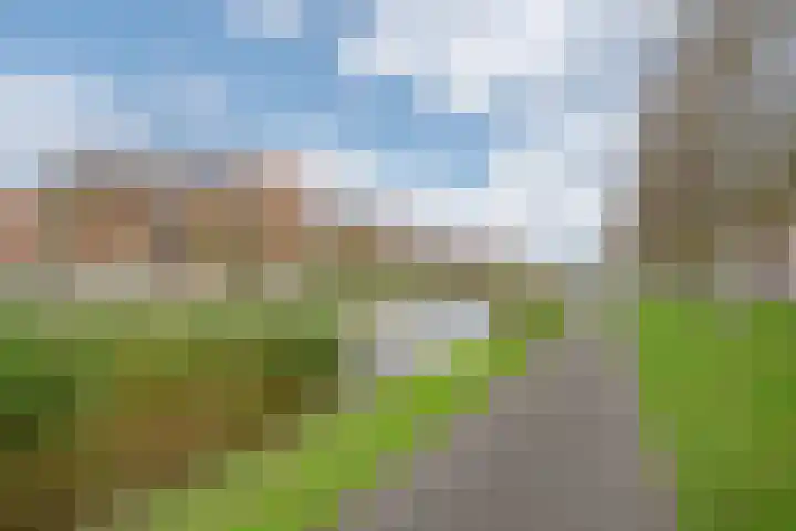 Rijswijkse Landingslaan 342 Den Haag thumbnail 29