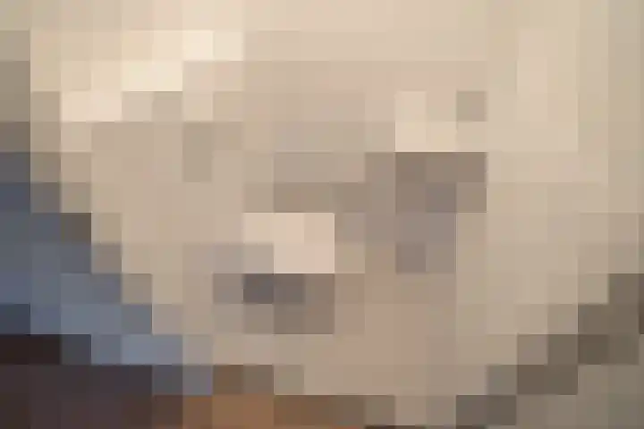 Rijswijkse Landingslaan 342 Den Haag thumbnail 6
