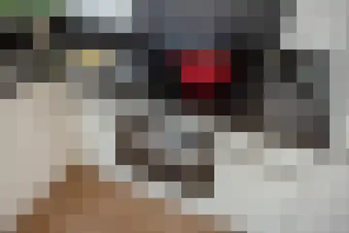 Rijswijkse Landingslaan 346 Den Haag thumbnail 19