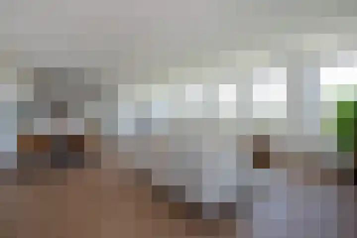 Rijswijkse Landingslaan 346 Den Haag thumbnail 24