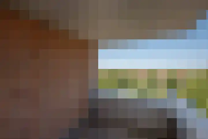 Rijswijkse Landingslaan 346 Den Haag thumbnail 29