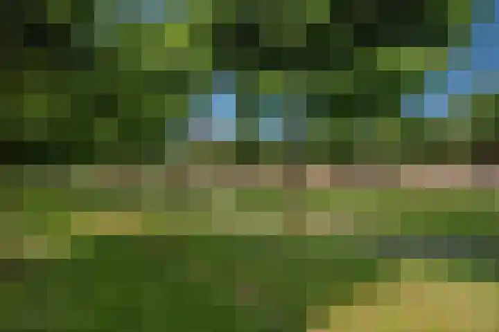 Rijswijkse Landingslaan 346 Den Haag thumbnail 33
